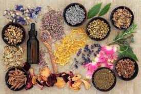 Lucknow, Career Counseling, Krishna Ayurvedic Medical College Bijnor UP