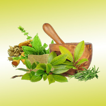 Lucknow, Career Counseling, ITM Ayurvedic Medical College Maharajganj UP