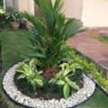 Garden Landscape & Swimming Pool Services