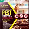 PEST CONTROL⭐CLEANING  & RELOCATION SERVICES IN RIYADH (0504 377 677)