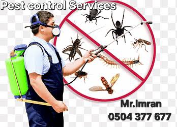 Riyadh, Pest Control, EXPERT PEST CONTROL⭐ CLEANING SERVICES CONTACT:(0504-377-677))