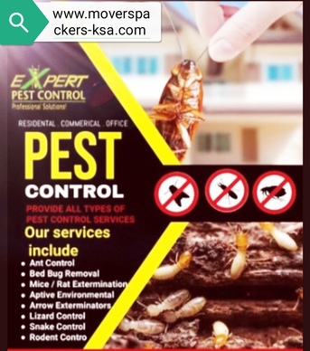Riyadh, Pest Control, EXPERT PEST CONTROL⭐FUMIGATION & CLEANING SERVICES CONTACT:(0504-377-677))