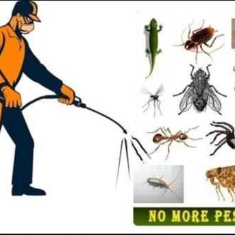 Riyadh, Cleaning, █►PAKISTANI★HOME★OFFICE★MOVERS★PACKERS★AND★CLEANERS WITH★PEST CONTROL★SERVICES★ █►