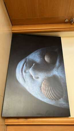 Saar, Furniture, BHD 20,  For Sale Art Picture Frame