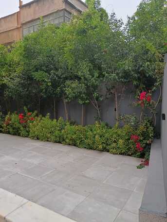 Amman, Apartments/Houses, Furnished,  3 BR,  Ground Floor Fully Furnished  Apartment For Rent In Lweibdeh