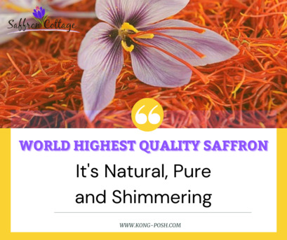 Kuala Lumpur, Health & Beauty Items, Visionary Dr. Bilal Ahmad Bhat Welcomes Czech Republic Delegation To Kashmir&rsquo;s Saffron Fie