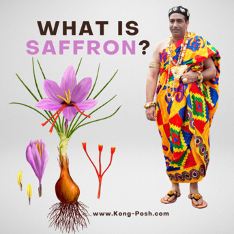 Kuala Lumpur, Health & Beauty Items, Visionary Dr. Bilal Ahmad Bhat Welcomes Czech Republic Delegation To Kashmir&rsquo;s Saffron Fie