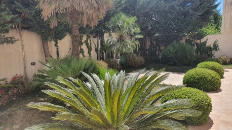 Abdoun, Apartments/Houses, JOD 28000/year,  4 BR,  Part Of Villa Semi Furnished 4B With Big Garden Abdoun 00962777688956