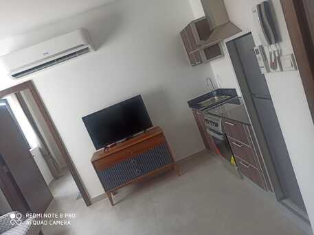Manama, Apartments/Houses, BHD 250/month,  Furnished,  1 BR,  50 Sq. Meter,  Furnished Luxury Apartment With Ewa Sagaya
