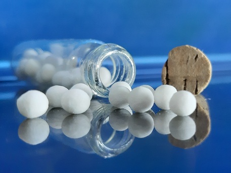 Lucknow, Career Counseling, Singh Sahab Homoeopathic Medical College & Hospital Amroha UP