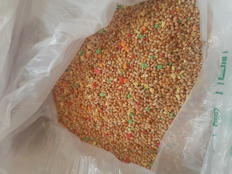 Dammam, Pet Supplies, Budgy Food 10