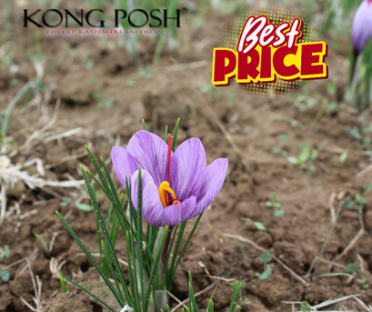 Kuala Lumpur, Health & Beauty Items, Sprinkle A Little Magic Into Your Meals With Saffron From Saffron Cottage