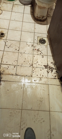 Riyadh, Pest Control, Safe Pest Control Services BEDBUGS SOLUTION BEST PRICE