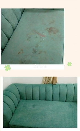 Riyadh, Cleaning, Carpet Sofa Clean Pest Control Services BEDBUGS SOLUTION BEST PRICE