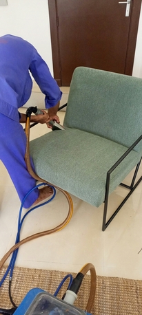 Riyadh, Labor/Moving, Pest Control Service Bed Bugs Sloution Carpet&Sofa Wash