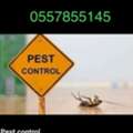Pest Control Services & CLEAN Services HOUSE OFFICE  Warehouse BEST PRICE Est 0557855145