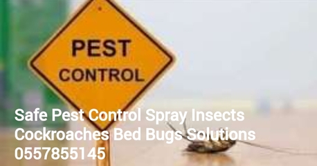 Riyadh, Pest Control, Top Pest Control Services BEDBUGS SOLUTION Cockroach Killer Company With Best Price