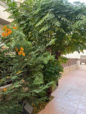 Amman, Apartments/Houses, JOD 20000/year,  Furnished,  4 BR,  Ground Fully Furinshed 4B Apartment With Garden In 5 Circle 00962777688956