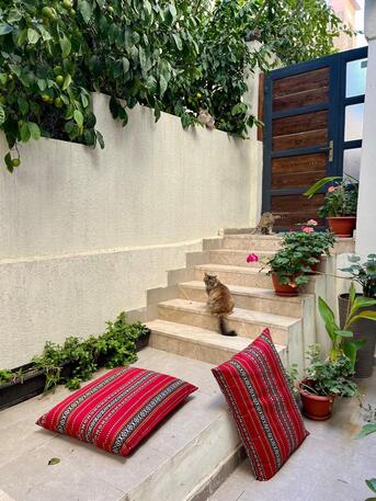 Amman, Apartments/Houses, JOD 4800/year,  Furnished,  1 BR,  Ground Fully Furinshed One Bedroom Apartment With Garden In Jabal Webdeh 00962777688956