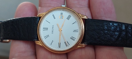 Paris, Watches, 650,  Delma Watch For Men Original Swiss Made