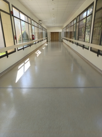 Jeddah, Construction, Construction, Jipsum Board, Painting, Maintenance