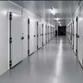 Cold Rooms For Rent