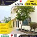 BHD 750,  Furnished,  Fully Furnished Luxury Compound Villa In Adliya
