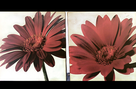 Riyadh, Household Items, SAR 11,  Wall Frames