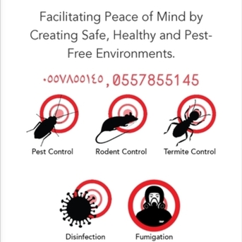 Riyadh, Pest Control, Safe Pest Control Services BEDBUGS SOLUTION Cockroach Killer Insects Solutions Best Price