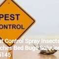Pest Control Services BEDBUGS SOLUTION Cockroach Insects BEDBUGS SOLUTION BEST PRICE 0557855145