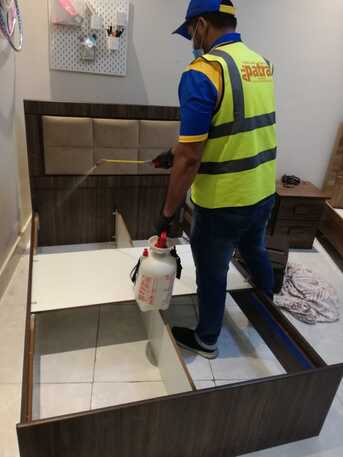 Jeddah, Pest Control, Pest Control! Choose Professionals! ⚠️Jeddah - Riyadh- Madina - Makkah