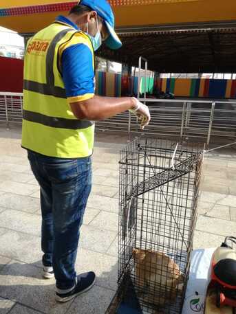 Jeddah, Pest Control, Pest Control! Choose Professionals! ⚠️Jeddah - Riyadh- Madina - Makkah