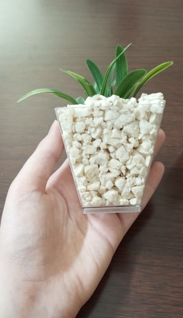 Mushrefah, Furniture, SAR 25,  Little Potted Plant Decor Set