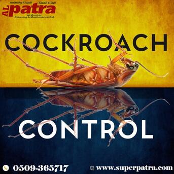 Makkah, Pest Control, Your Ultimate Pest Control Solution! --Jeddah - Riyadh- Madina - Makkah