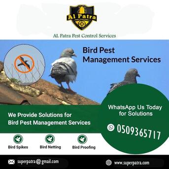 Makkah, Pest Control, Your Ultimate Pest Control Solution! --Jeddah - Riyadh- Madina - Makkah