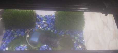 Manama, Pet Supplies, BHD 30,  Aquarium/ Fish Tank - GOING AWAY SALE!!