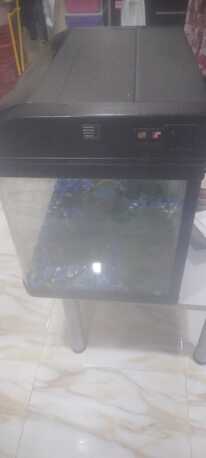 Manama, Pet Supplies, BHD 30,  Aquarium/ Fish Tank - GOING AWAY SALE!!