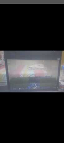 Manama, Pet Supplies, BHD 30,  Aquarium/ Fish Tank - GOING AWAY SALE!!
