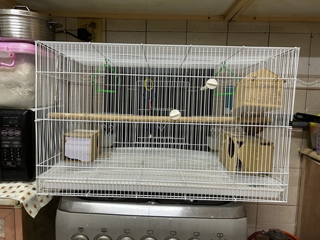 Jubail, Pet Supplies, Sar 120,  Birds Cage Furnished With All Accesories Big Size