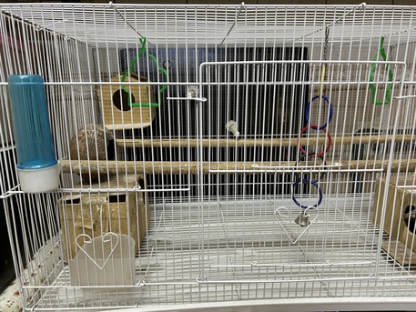 Jubail, Pet Supplies, Sar 120,  Birds Cage Furnished With All Accesories Big Size