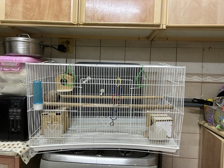 Jubail, Pet Supplies, Sar 120,  Birds Cage Furnished With All Accesories Big Size