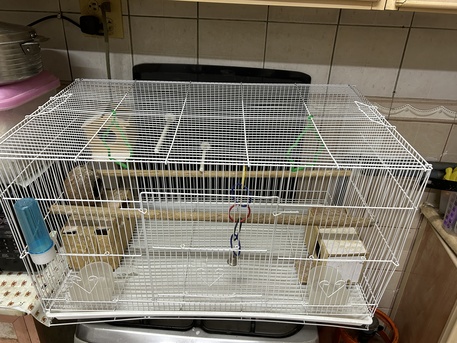 Jubail, Pet Supplies, Sar 120,  Birds Cage Furnished With All Accesories Big Size