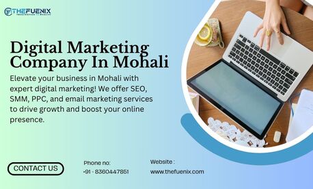 Chandigarh Tricity, Business, Digital Marketing Company In Mohali