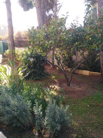 Amman, Apartments/Houses, JOD 13000/year,  Furnished,  2 BR,  Ground Fully Furinshed 2B Apartment With Garden In 4 Circle 00962777688956