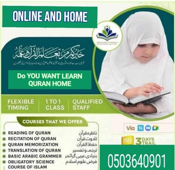 Hara, Language Exchange, Arabic Teacher