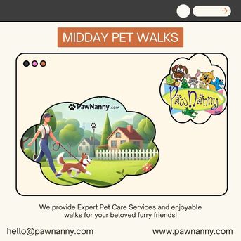 New York, Pet Sitting, Expert Pet Care Services