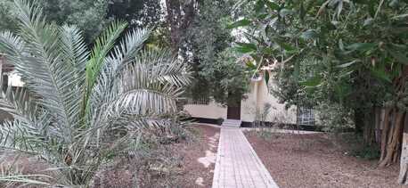 Adliya, Apartments/Houses, BHD 500/month,  3 BR,  Semi Furnished Private  Villa  In A Clam & Quite Area:  Large Garden & Trees Around : TONY