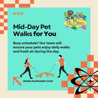 New York, Pet Sitting, Busy Schedule? We’ve Got Your Mid-Day Pet Walks Covered!