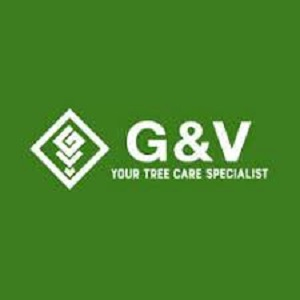 New York, Business, G & V Tree Service, Inc.