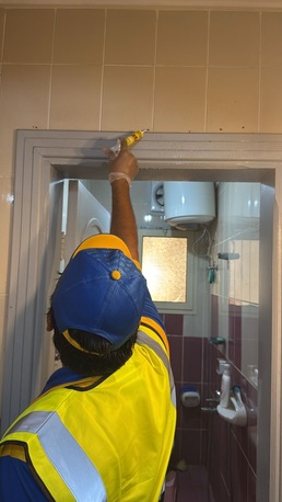 Jeddah, Pest Control, **🚫 Say Goodbye To Cockroaches With Al Patra Pest Control! 🪳**